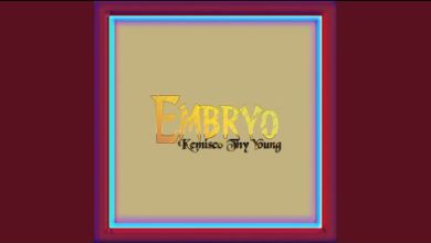 Kemisco Thy Young - Embryo (Sped Up)